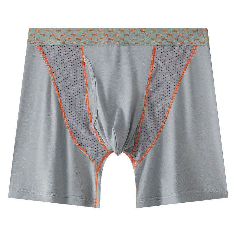 Men's Boxers Transparent Mesh Shorts