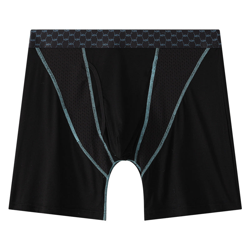 Men's Boxers Transparent Mesh Shorts