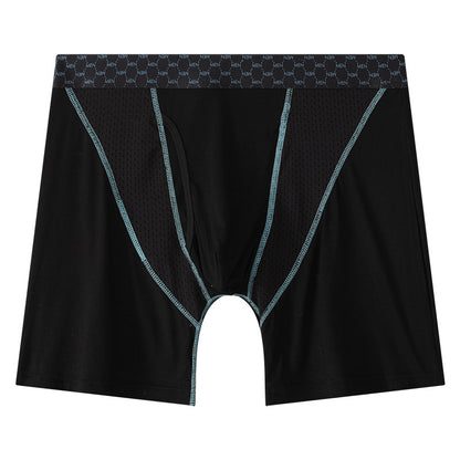 Men's Boxers Transparent Mesh Shorts