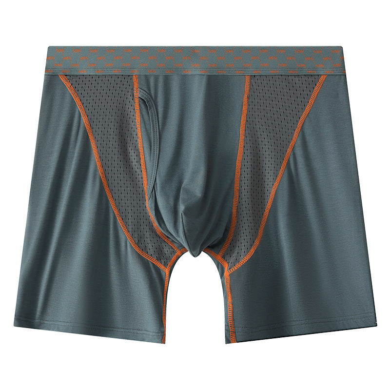 Men's Boxers Transparent Mesh Shorts